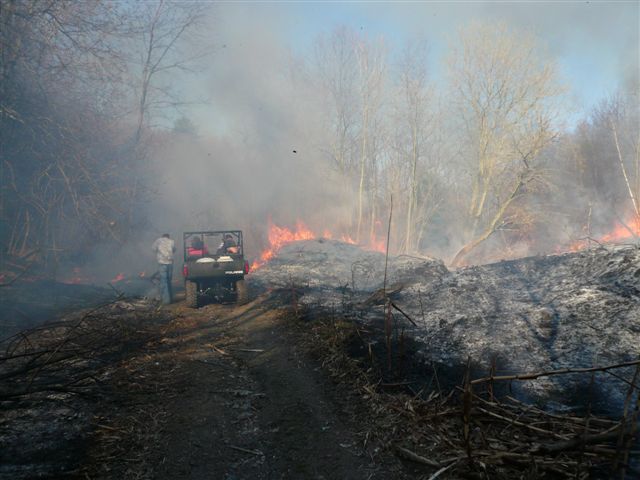 brush fire april 16 2008 013